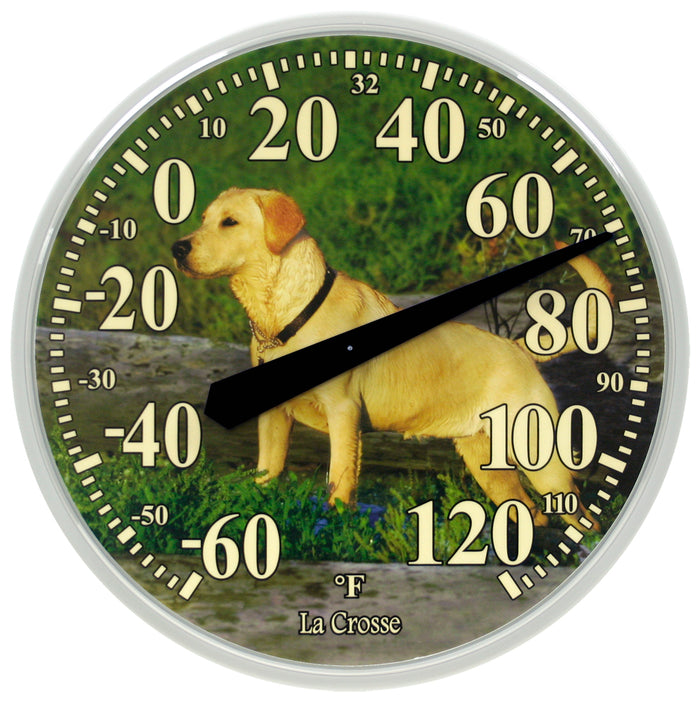 104-114dog headon