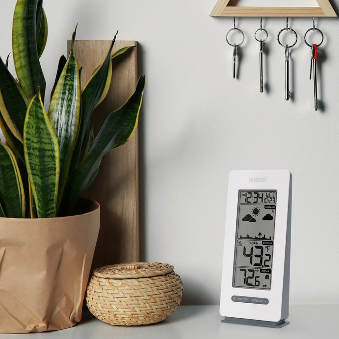 308-1415FCT-NH Wireless Forecast Station