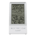 308-1415FCT Forecast Station
