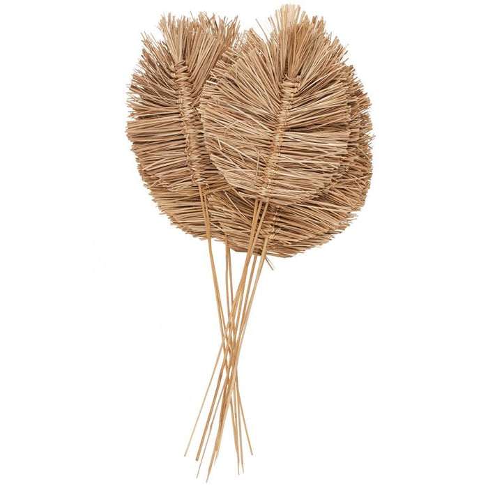 Brown Dried Plant Leaf Tall Spear Home Decor Natural Foliage with Sharp Stems