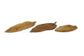 BROWN TEAK WOOD LEAF LIVE EDGE TRAY