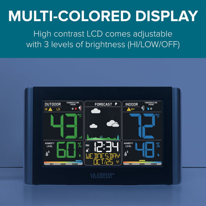 C85845V4 Multi-Colored Display