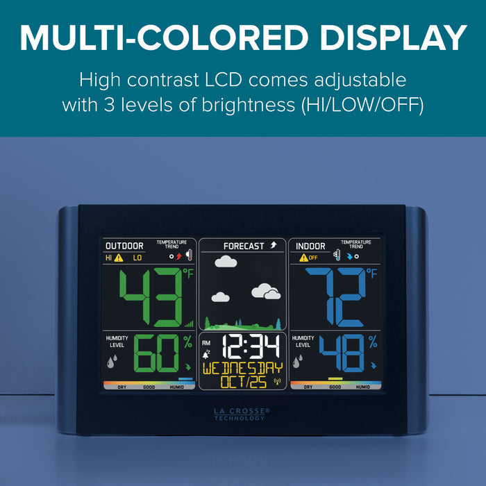 C85845V6 Multi-Colored Display