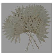 CREAM DRIED PLANT PALM LEAF HANDMADE LARGE SUN SPEAR NATURAL FOLIAGE, 20" X 3" X 29"