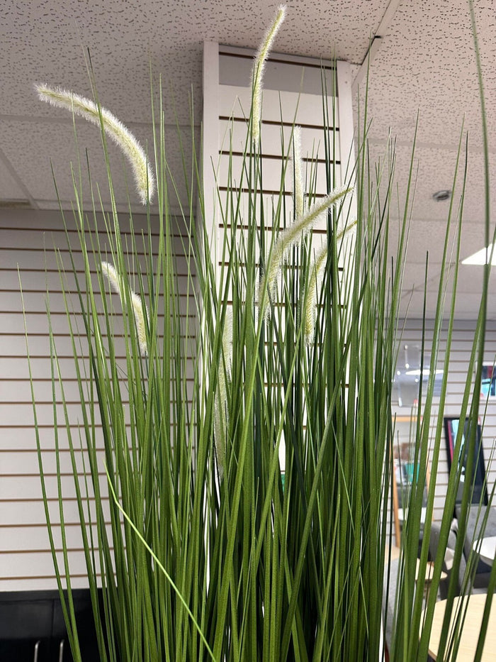 Habitat Artificial Large Faux Floral Pampas - Natural