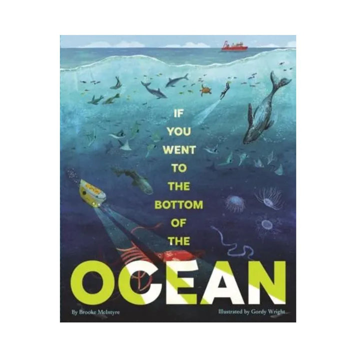 If You Went to the Bottom of the Ocean