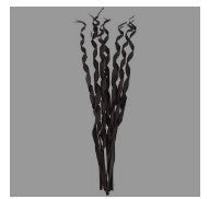 PALM LEAF TALL ROLLED NATURAL FOLIAGE,