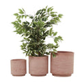 PINK MAGNESIUM OXIDE INDOOR OUTDOOR PLANTER