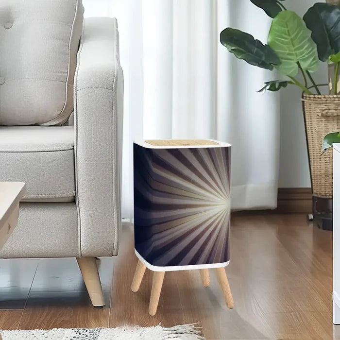 Retro Scandi Square Small Trash Can with Lid Sunburst Black White - One Size - retro tash cans