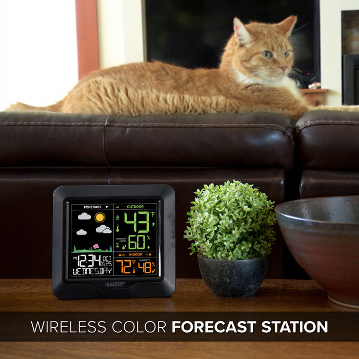 S85814 wireless color forecast station