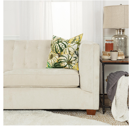 Throw Pillow