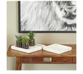 WHITE MARBLE TRAY WITH RAISED BORDER